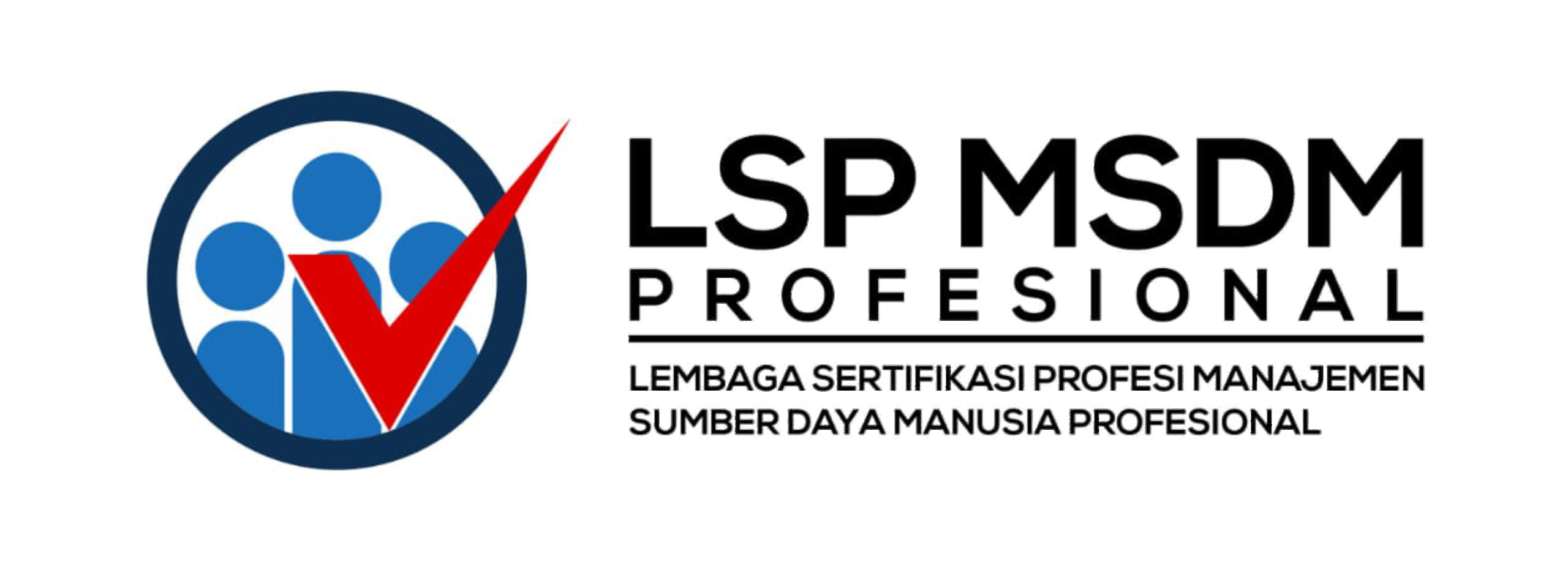 LSP MSDM
